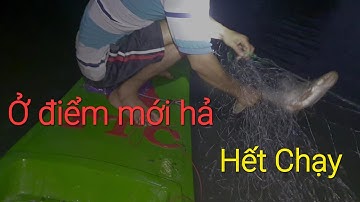 Lưới Cá Tra , đụng sát thủ giăng kiểu này hết chạy. @teo vlog 99