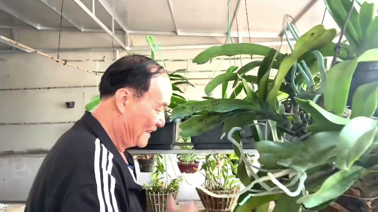 104. Vườn Lan của ông Đát Liên.