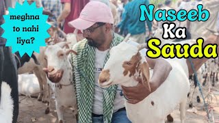 Kanpur bakra Mandi part-1. Social media marketing of goats.