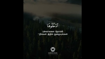 Surah Al-Hijr | Ayah 45-48 | طارق محمد | Tariq Mohemed | سورة الحجر | إن المتقين في جنات وعيون