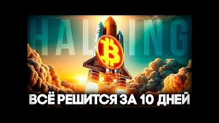 Биткоин Халвинг 80 000 Это Минимум! Криптовалюта Большой Прогноз Перед Bitcoin Халвингом