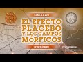 EL EFECTO PLACEBO Y LOS CAMPOS MÓRFICOS - Parte 1