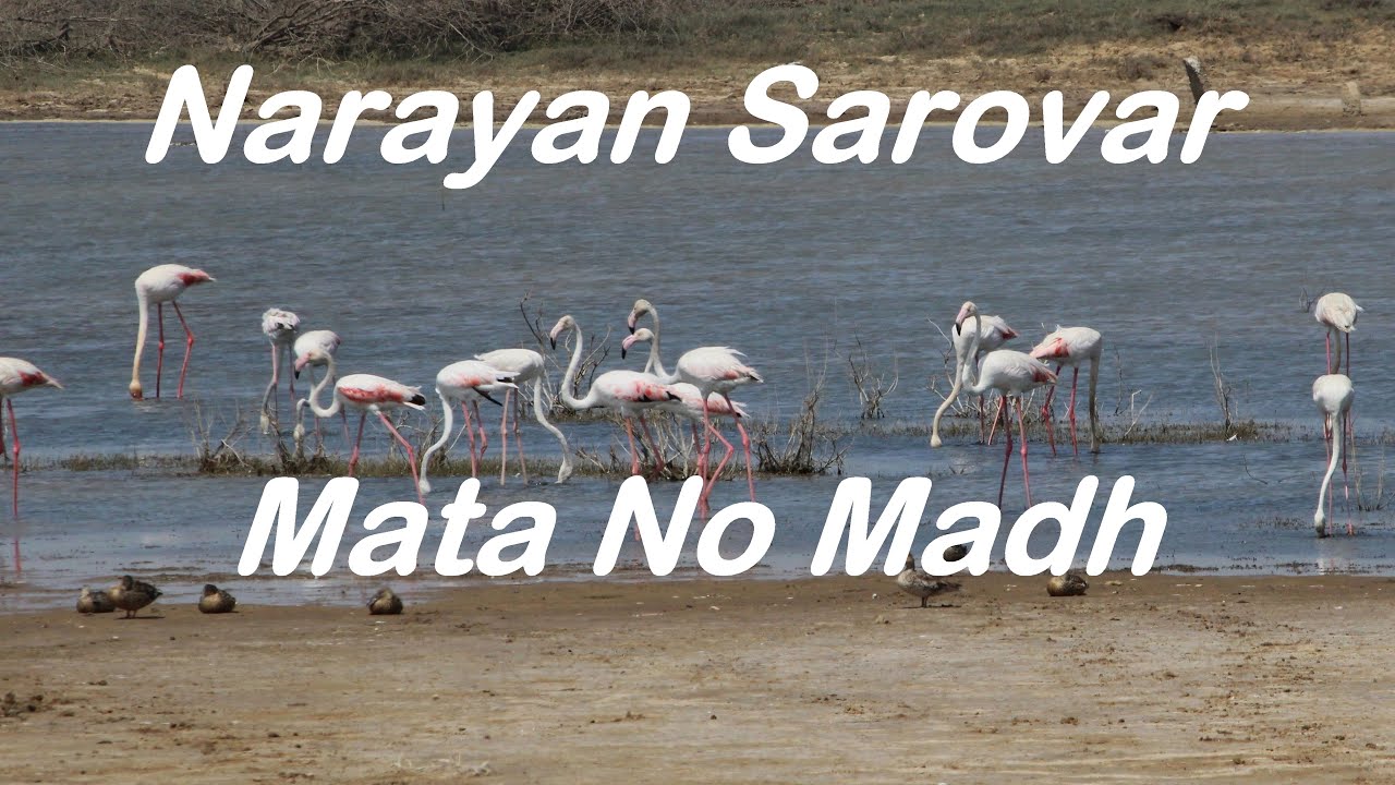 Mandvi l Mata No Madh l Narayan Sarovar l Pingleshwar Mahadev l Pingleshwar Beach