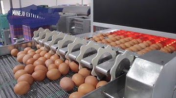 Sime Tek Animal Pharm   Resumen