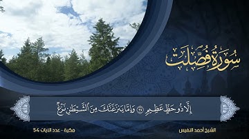 41 | سورة فصلت | الشيخ أحمد النفيس