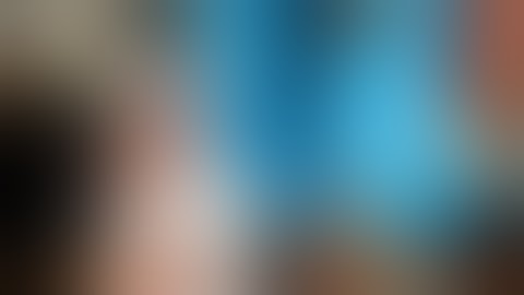 Anatomy cat dissection (digestive system)