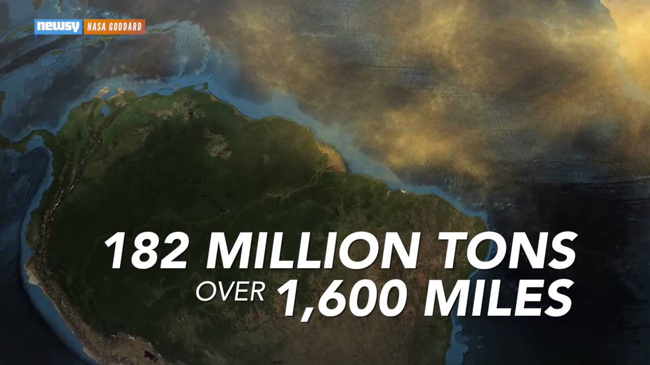 The Amazon Keeps Its Green Thanks To The Sahara Desert