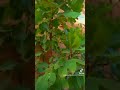 تبقاو على خير
