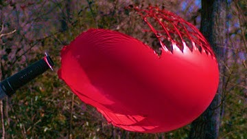 Water Balloons Look AMAZING in Slow Motion! (Volume 16)