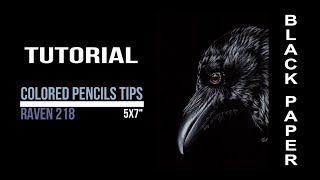 Colored pencils TUTORIAL: how to draw a raven with Prismacolors on BLACK PAPER