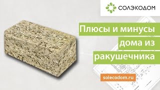 Дом из ракушечника. Плюсы и минусы