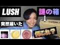 【謎箱】LUSHから突然届いたこの３つが優秀過ぎた。。