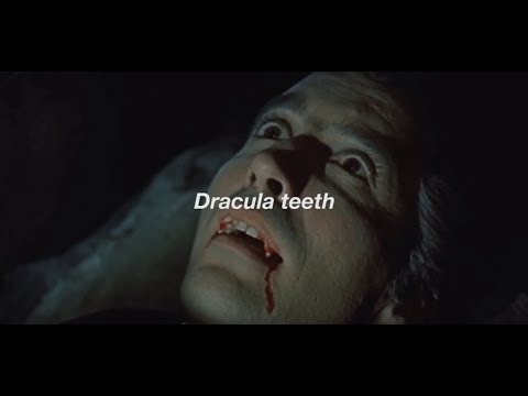 drácula teeth // the last shadow puppets lyrics