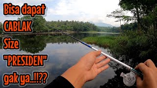 Download Lagu GILIRAN BLUMBANG GEDE ‼️ KITA SERANG PAGI BUTA || mancing ikan red devil NAHOL MANIA  MP3