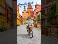 Romantic Road｜Germany（ロマンチック街道｜ドイツ）