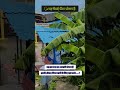 Last station of South India(Chennai Central) #railwaystation #indianrailways #chennai #viral #shorts