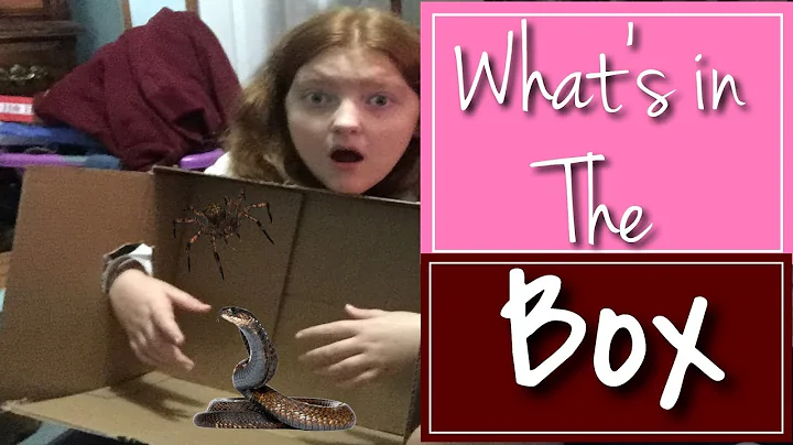 Whats In The Box Challenge Ft. Haley Oakes