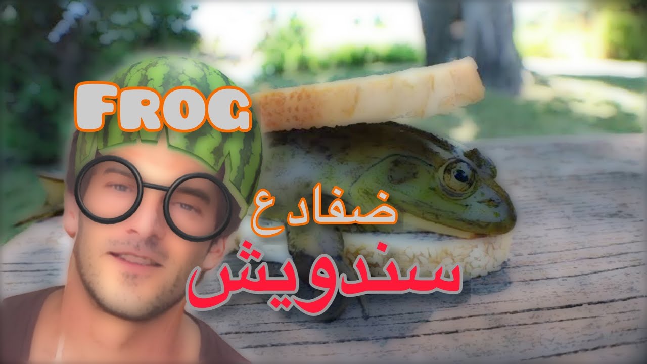 سندويتش الضفادع اللذيذfrogs sandwich YouTube