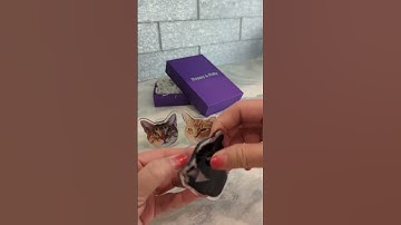 How to show your kitty love #shorts| Happy&Polly