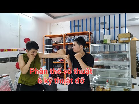 Video Phần 2 ; Phân thế võ thuật_6 kỹ thuật đỡ gạt cơ bản - YouTube