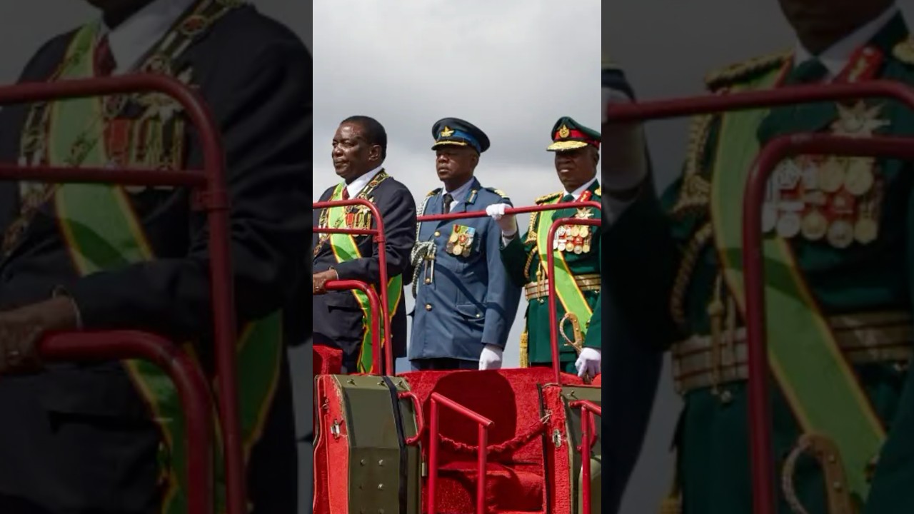 The Zimbabwe’s Army hierarchy and levels of authority - How it fits together 
