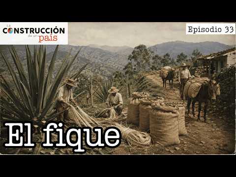 Before PLASTIC, a large part of commerce traveled in FIQUE sacks