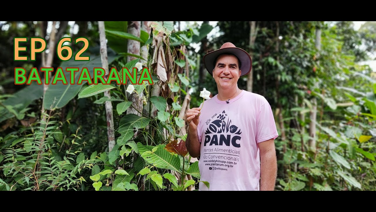 EPISÓDIO 62 - BATATARANA | #pancnaveia #valdelykinupp