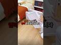 용달비 줄이는 법! (자취생 필수) #살림템 #자취꿀팁 #꿀템