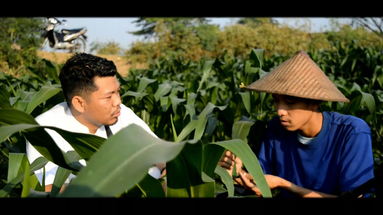 Video Edukasi 2019 Komunikasi Sebagai Pengantar Caring STIKes Satria Bhakti Nganjuk