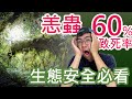 致死率60%的恙蟲   生態安全必看  | 宅栽 |