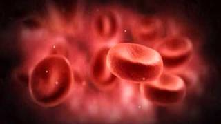 Blood Cells.avi