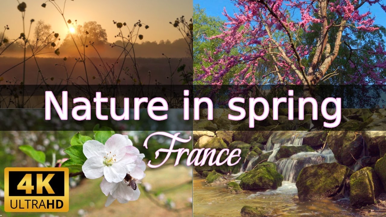 Natural Spring France Relaxing nature in spring - France, Pays de la Loire - Real-time sound ...