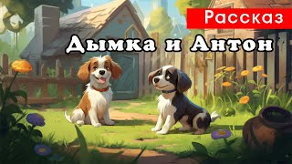 Дымка и Антон - Рассказ