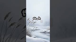 Soft Focus Music for Studying (No Lyrics)