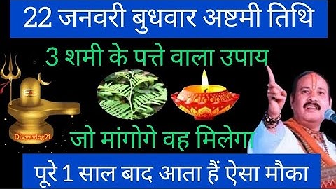 22 जनवरी माघमास बुधवार अष्टमी तिथि को 3 शमी के पत्ते वाला उपाय जरूर करे || Pradeep Ji Mishra