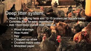 Poultry Farming training video ZOA Uganda