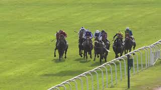 Vidéo de la course PMU CRITERIUM DE MAISONS-LAFFITTE