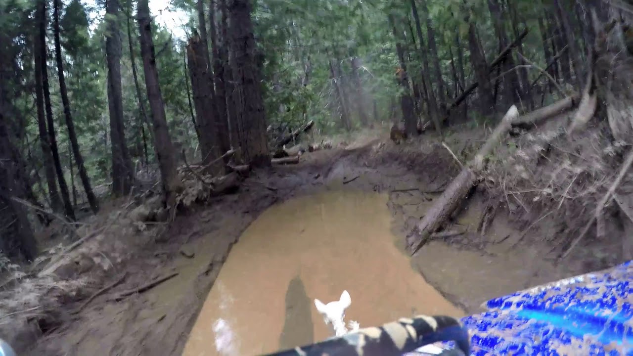 Foresthill OHV Trail Riding with Quads YouTube
