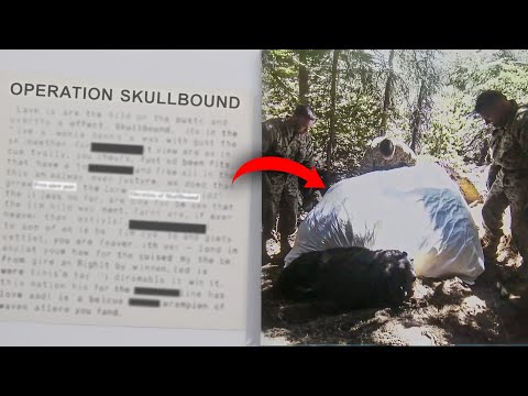Classified Documents Reveal INCIDENT In Tonto National Forest