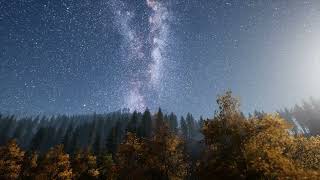 Harmony in Tranquility: Relaxing Music Amidst Nature's Gentle Embrace 🍃🎶