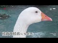 2025.12.9錢錢寶寶簡單記錄