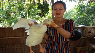 Duck cooked green pepper, attractive dish in my village