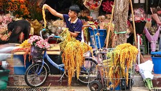 How 20 Million Flowers Are Processed Daily in Thailand’s 24/7 Market 