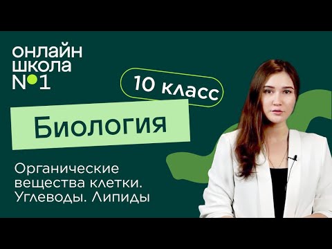 Органические вещества клетки. Углеводы. Липиды. Биология 10 класс. Видеоурок 4