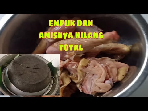 Cara Agar Ayam Tidak Amis
