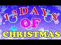 Двенадцать День Рождества | Рождественская Песня | Twelve Days Of Christmas Song | Zebra Russian