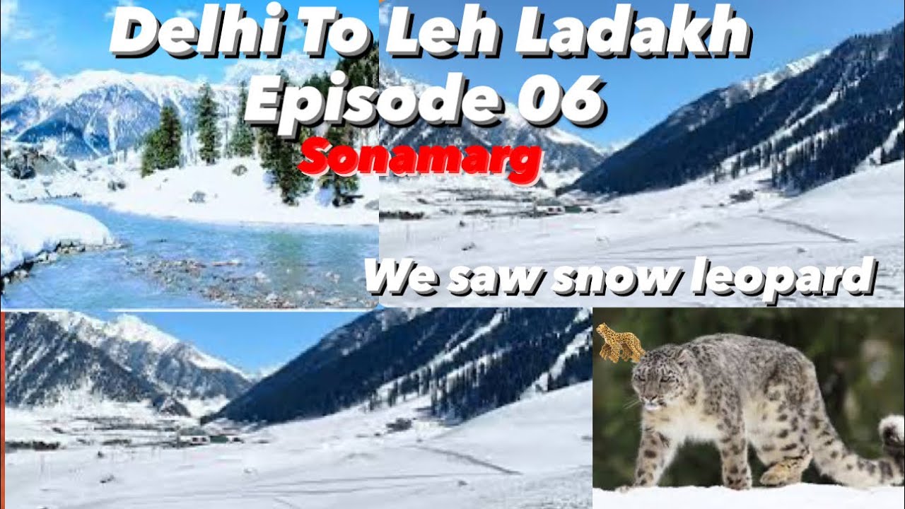 Delhi To Leh Ladakh | Sonamarg | Kashmir | Snow Leopard 🐆 | Episode 06