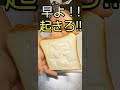 早よ‼️起きろ‼️ 朝 起きない子供（息子）にパンで抗議してやった‼️🤣ショートムービー#Shorts