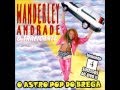 Wanderley Andrade O Astro Pop Do Brega