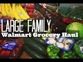 Large Family Walmart Grocery Shopping Haul | Big Family Groceries